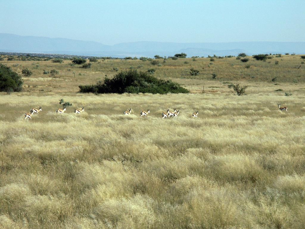 090509_South_Africa 192.jpg
